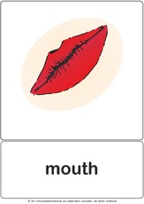 Bildkarte - mouth.pdf